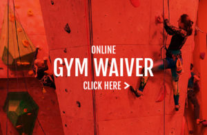 Online Gym Waiver