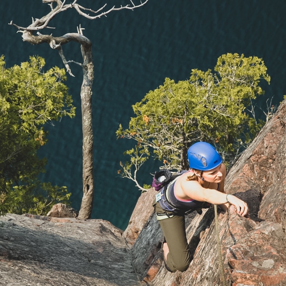 Out on A limb